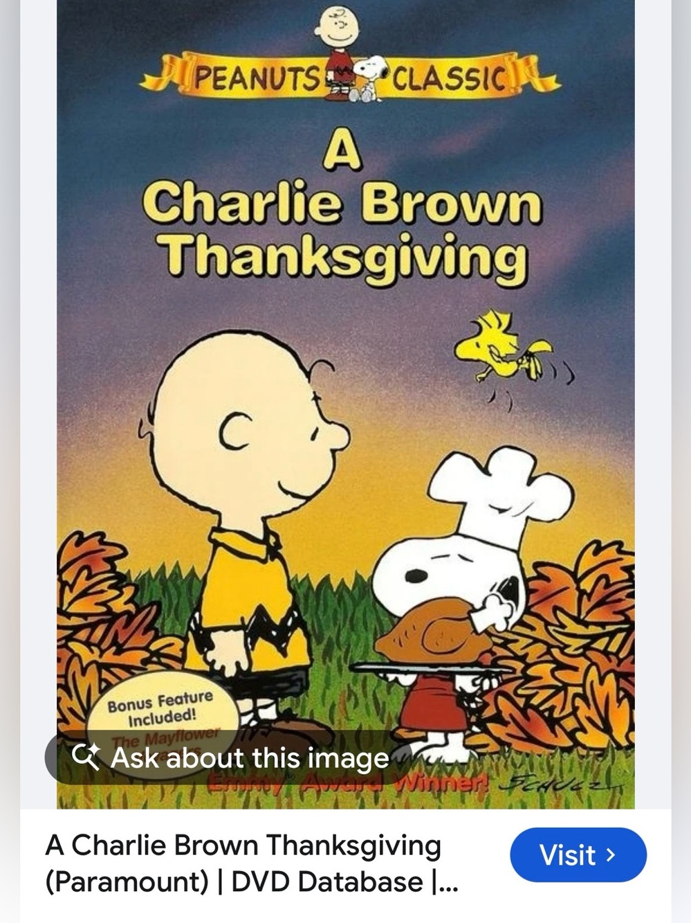 #3329**Peanuts Charlie Brown Costume Top in Yellow with Black Zigzag